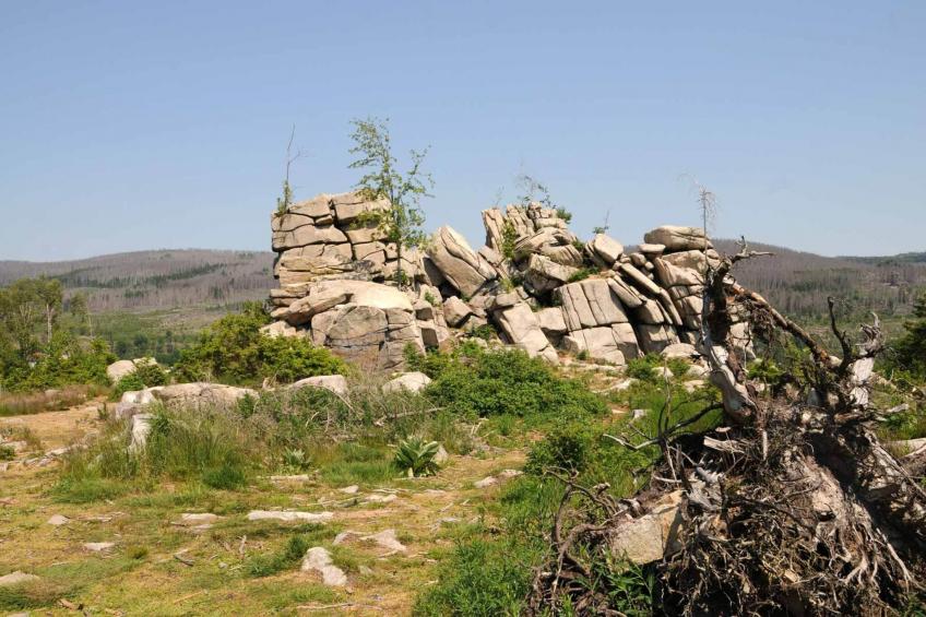 Holiday homes im Schierke Harzresort, Schierke - Type A - foto 36