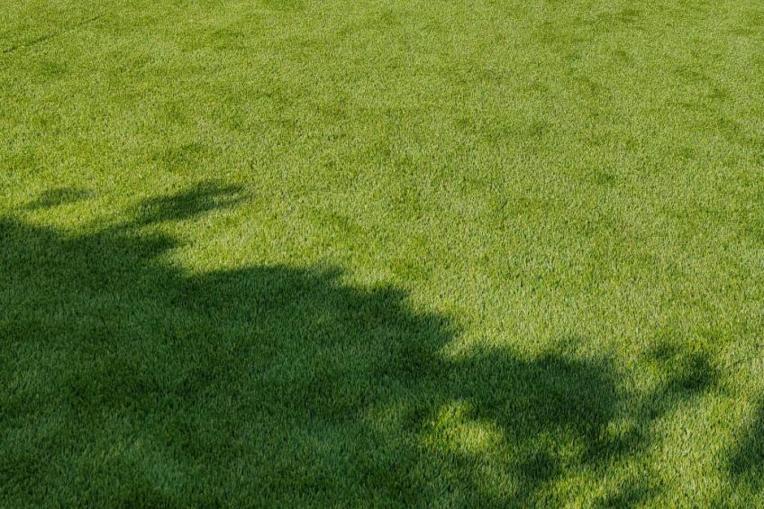 Kinderfreundliche Pool Villa 5p Seaside Beach Forest - foto 31