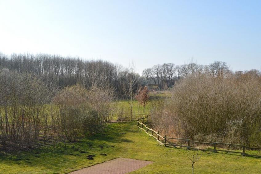 102845 - foto 20
