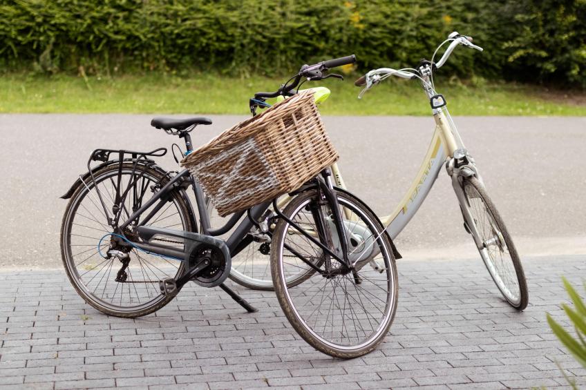Rixwolde vakantievilla 430 - foto 27