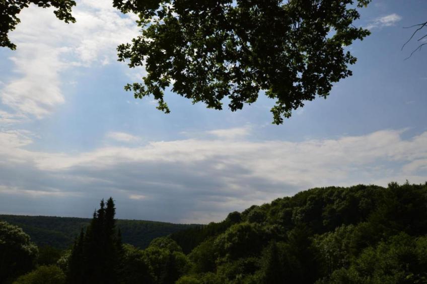 Turm zur Pfaffenley - foto 28