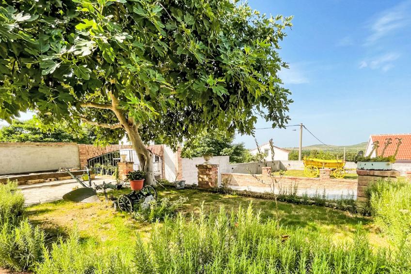 Villa Meri - foto 43