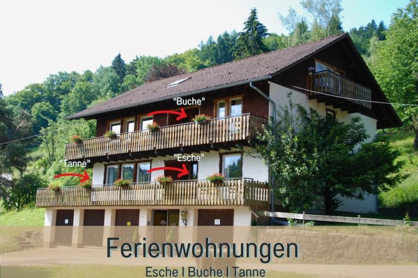 78633 - foto 5