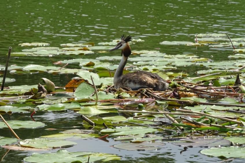 Fh "Molkenberg" - foto 25