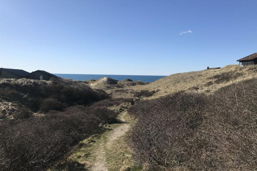 "Finna" - 1km from the sea in NW Jutland - foto 29