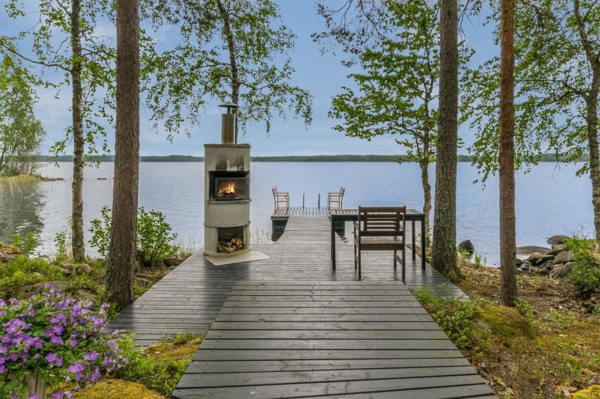 Tervapääsky - foto 3