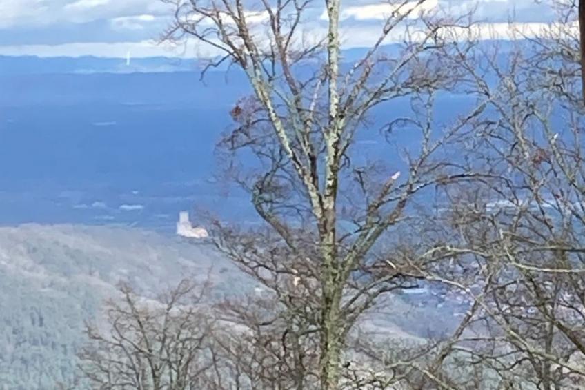 Gite des Cerisiers - foto 17