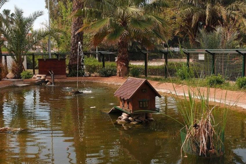 Violeta 17 - foto 128