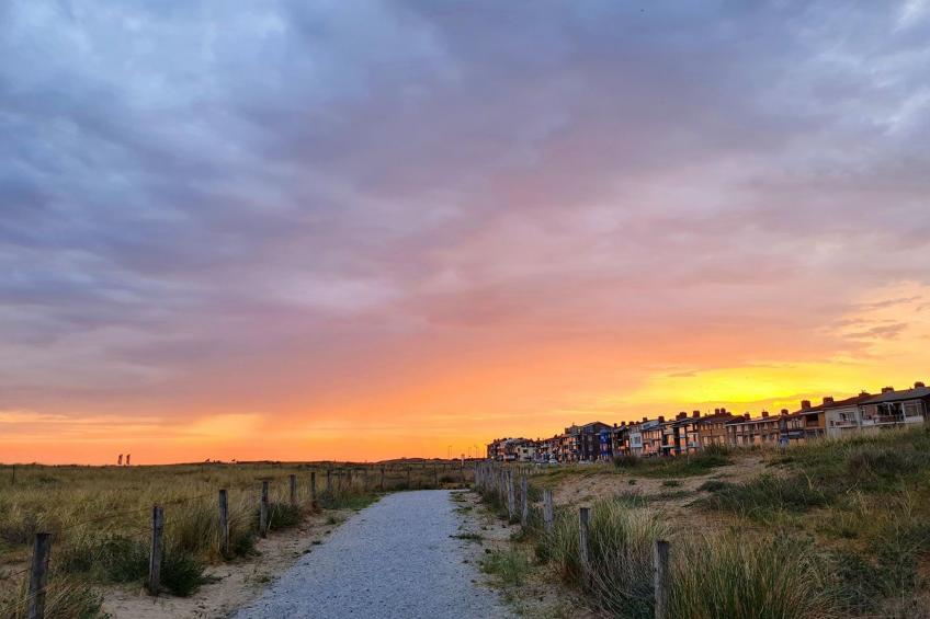 Nordseeblick - foto 42