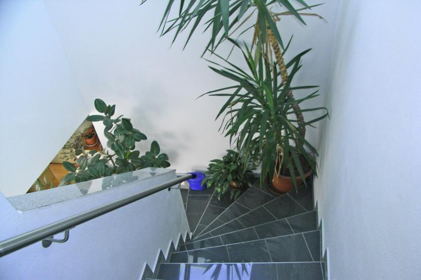 Hollaus 2 - foto 14
