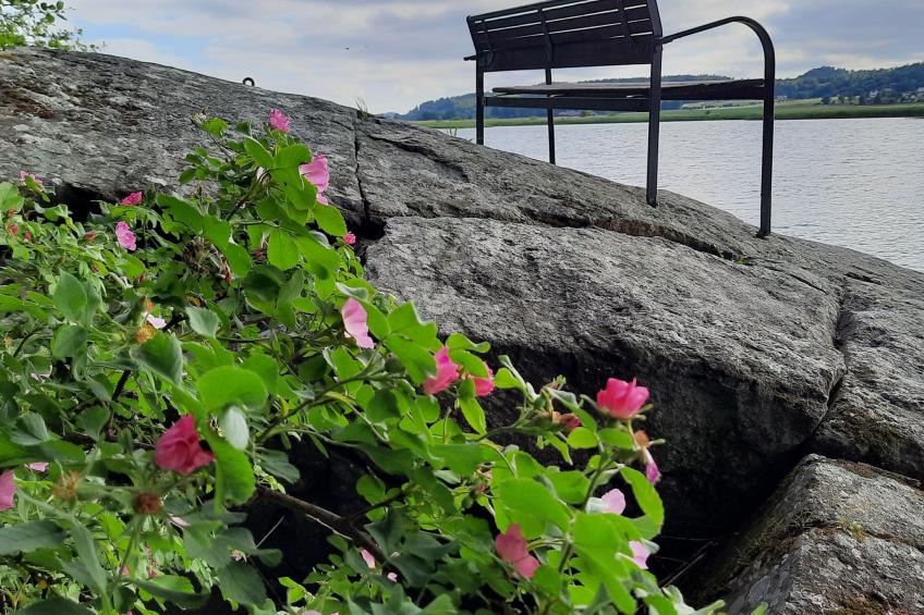 Bauernhaus-Wohnung bei Göta Älv in der Nähe von Göteborg - foto 49