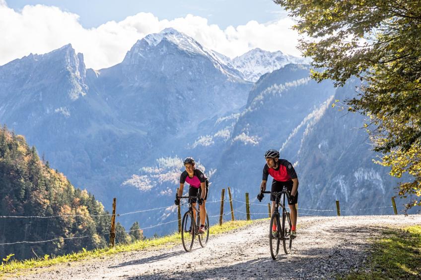 Appartement Bergkristall mit Gebirgsblick - foto 27