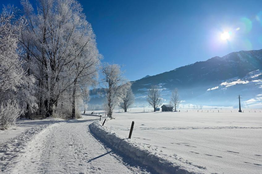 BergbiberHAUS Appartement A - foto 21