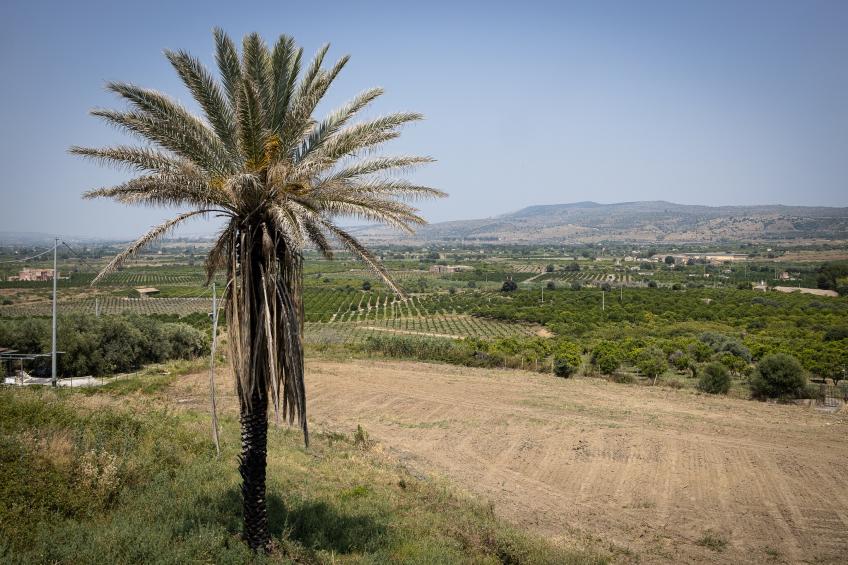 Villa Francofonte - foto 26