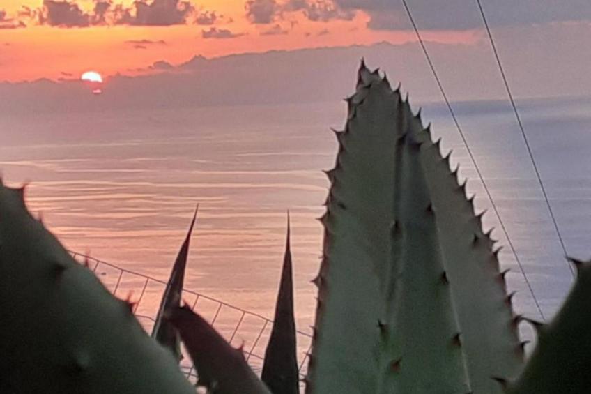 Villa Panorama Wohnung in privater Villa - foto 41