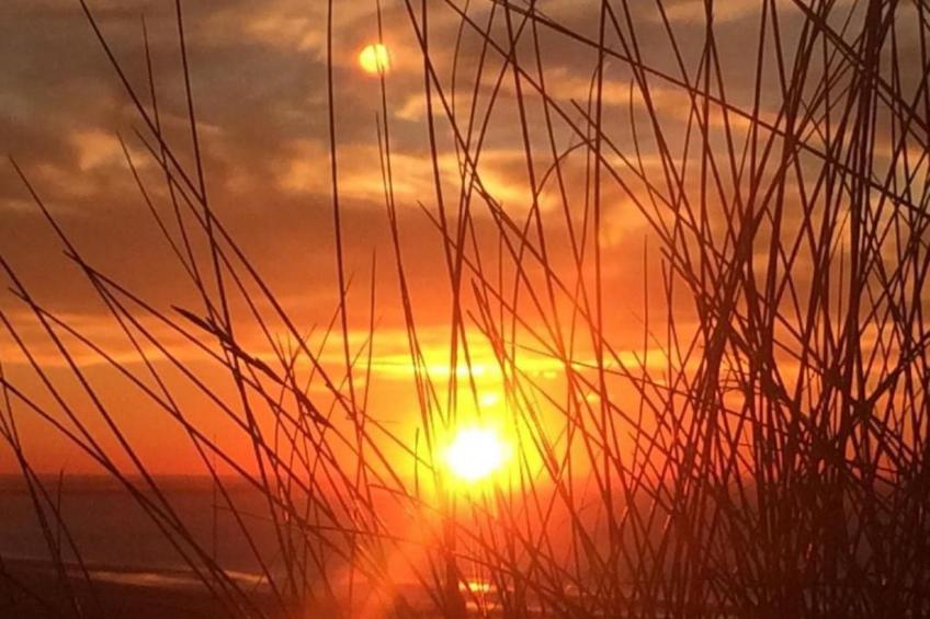 Strandhaus direkt am Meer - foto 27