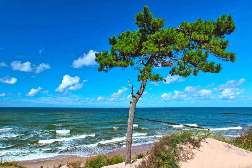 Holiday resort, Wicie - foto 23