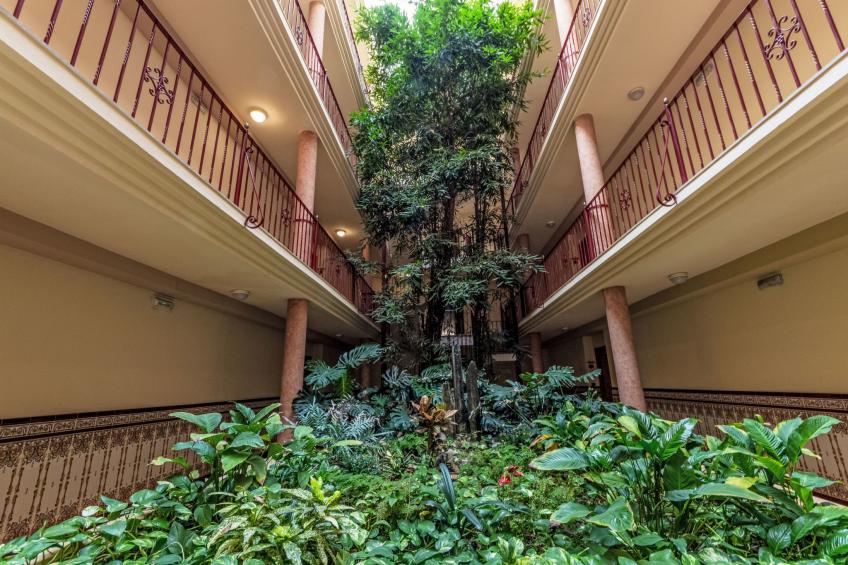 Delicias B - foto 22