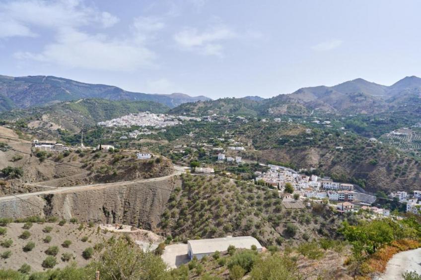 Cortijo las Monjas - foto 34