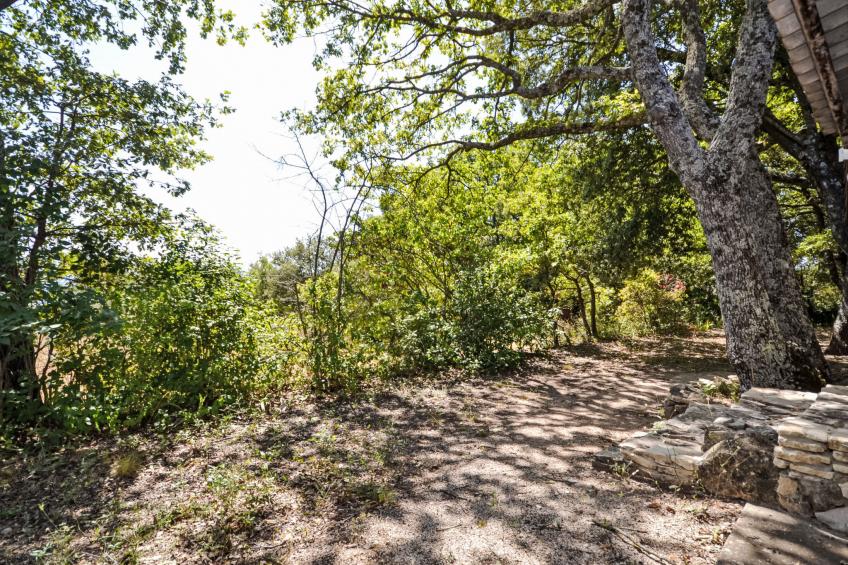 Le Bois d'Amour - foto 26