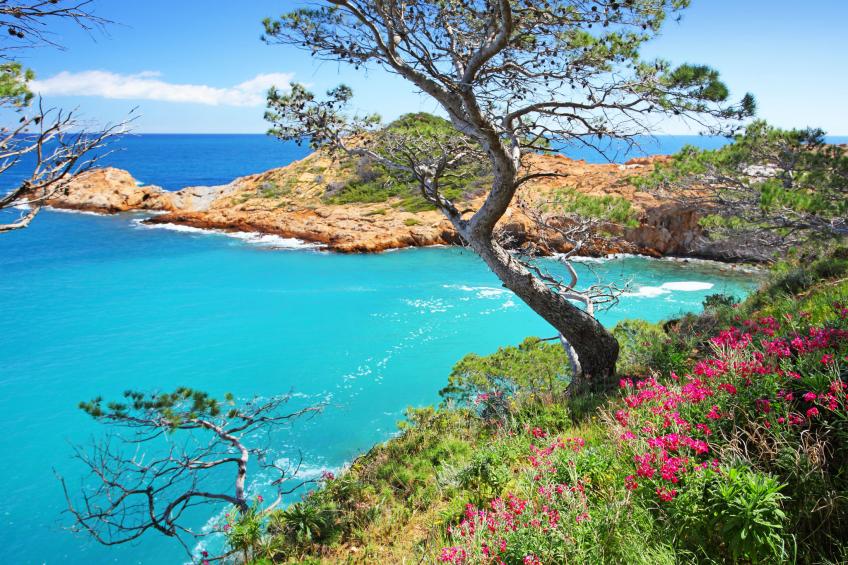 Ses Falguerines - foto 24