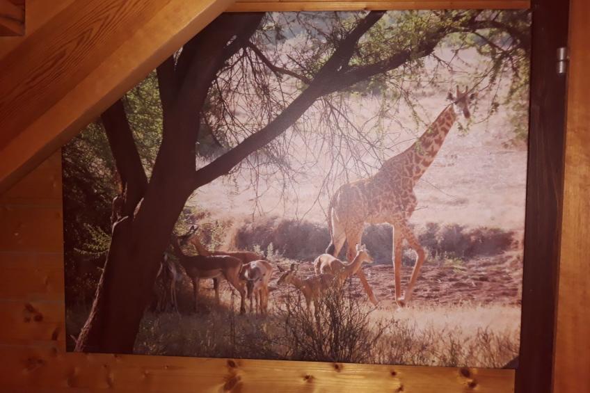 in Kuhklingen mit Großer Terrasse - foto 34