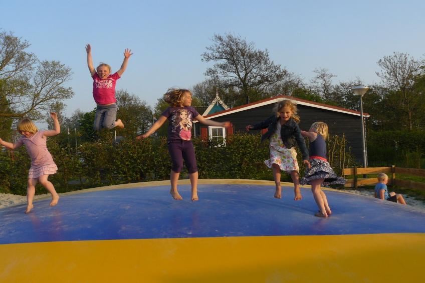 Recreatiepark Wiringherlant - Wiringher Chalet 83 - foto 17