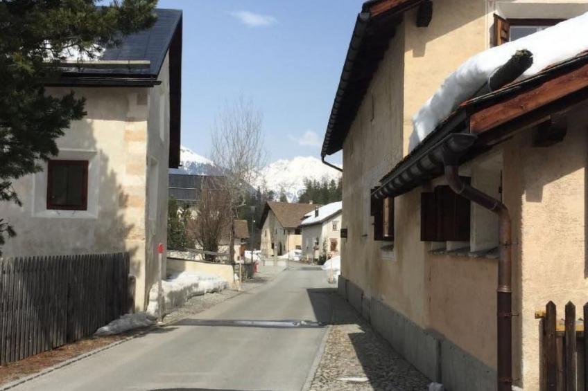 Chesa Delfins - foto 31