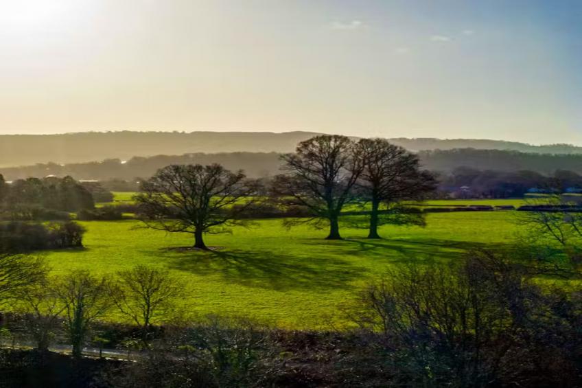 Manor on the Monnow - foto 40