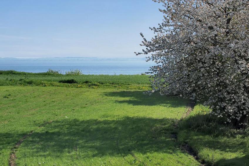 "Ady" - 150m from the sea in SE Jutland