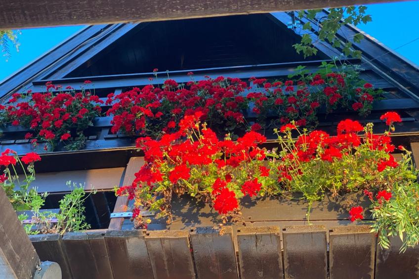 Ferienvilla mit Garten, Grill und Terrasse - foto 71