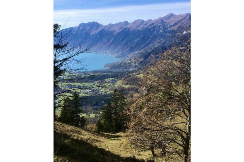 31007 - foto 30