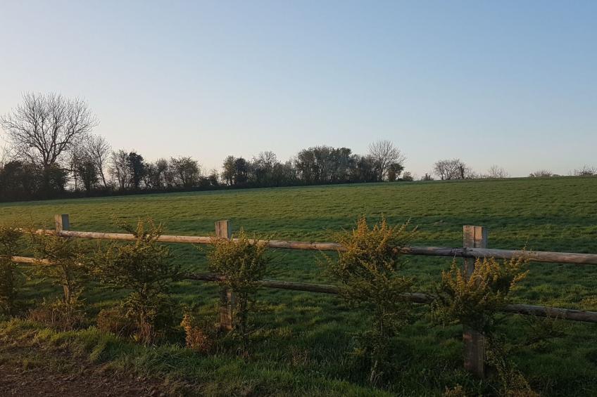 Le domaine des roseraies, Unterkunft Maupassant - foto 32