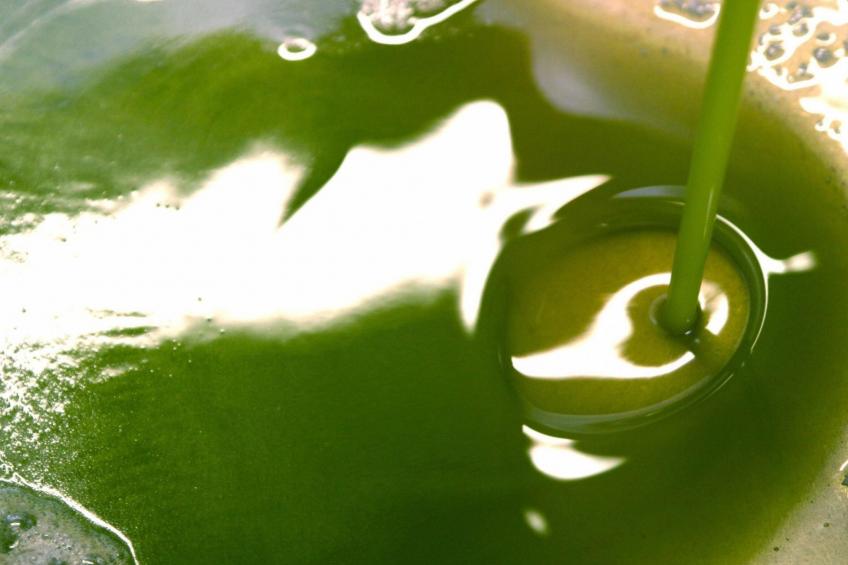 Anwesen "Frantoio" mit Infinity-Pool - foto 36