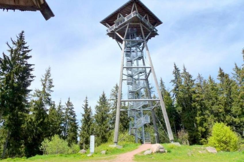 Kurhotel Schluchsee, 4-Bettwohnung - foto 4