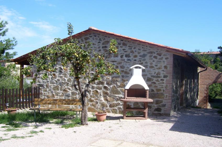 Olivo - foto 39