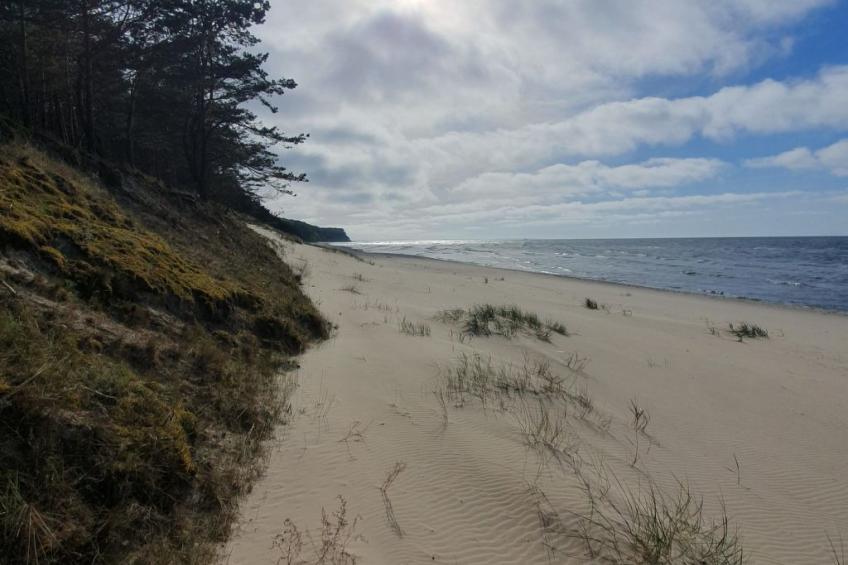 Haus "Am Nussbaum " - foto 21