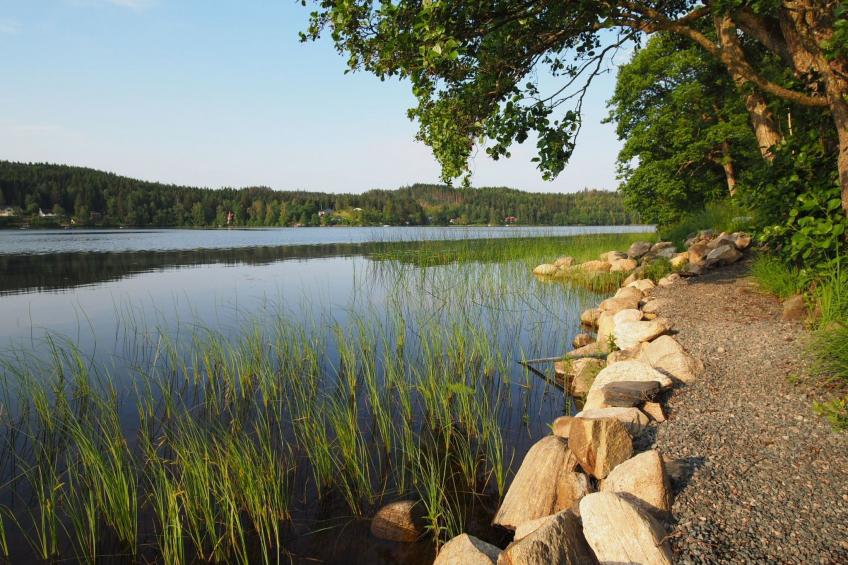 Schwedisches Glück, zwischen Wäldern und einem See - foto 41