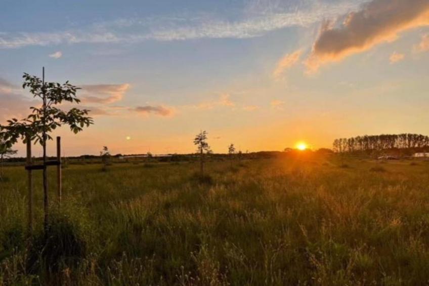 De Vrije Vogel - foto 34