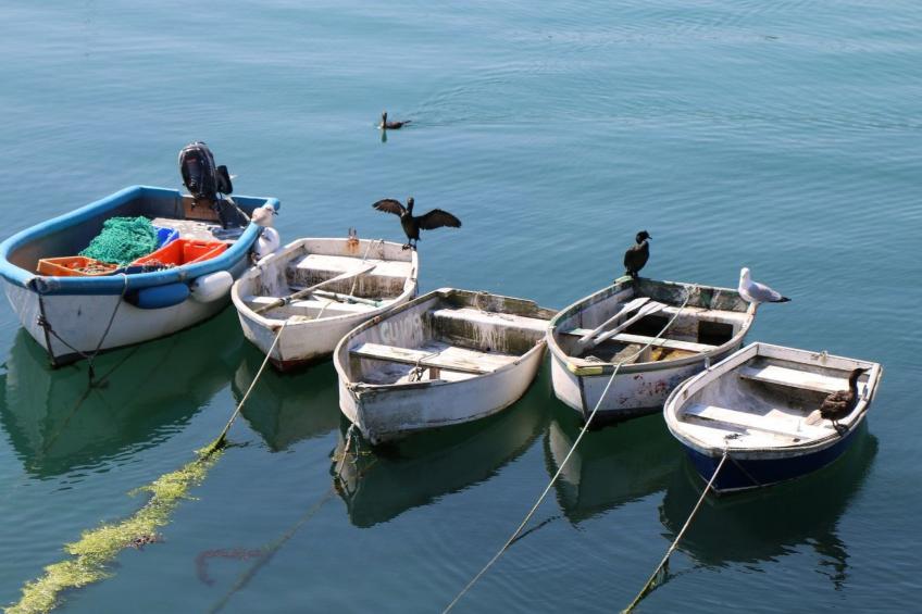 Kleines Studio auf dem Land für 2 Personen - foto 35