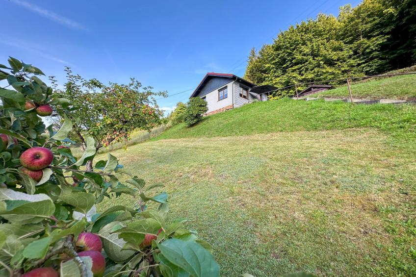 Am Steinberg - foto 3