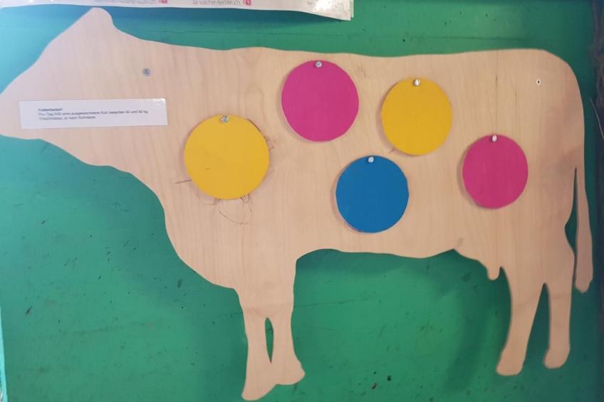 Ferien im Gugger - Wohnung Stockberg - foto 34