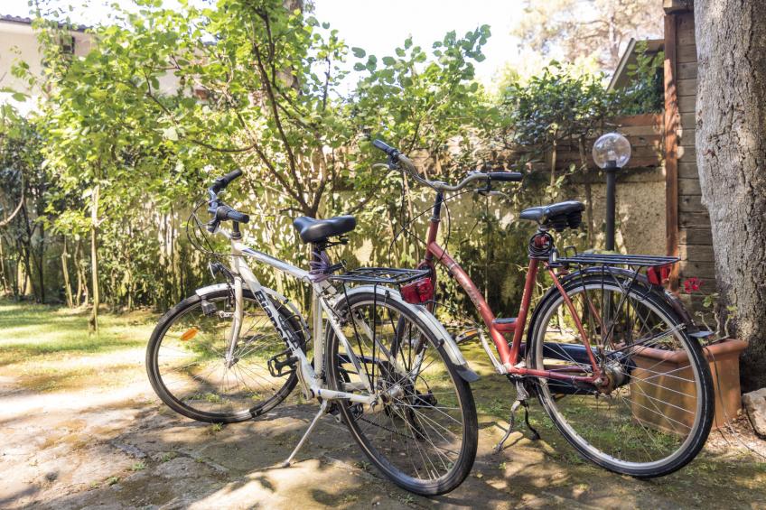 La casina nel bosco - foto 14