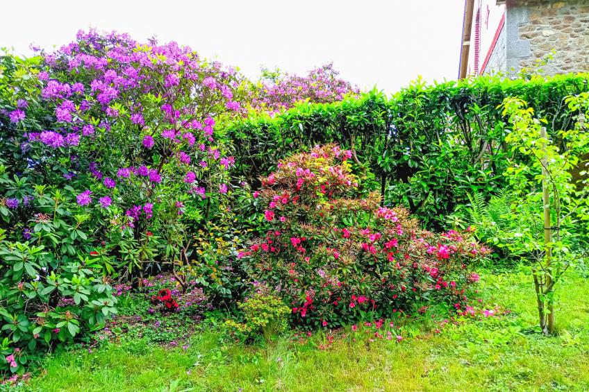 Villa La Côte du Chat -Familienhaus Bretagne - foto 8