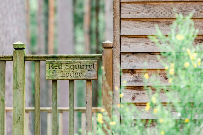 Red Squirrel Lodge - foto 22