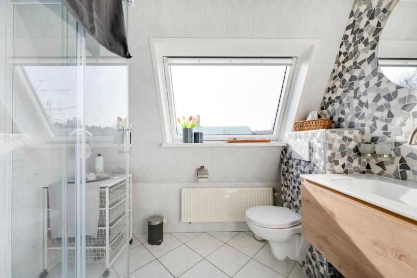 De Zilvermeeuw - foto 25