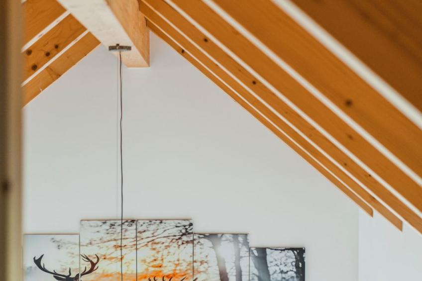 Penthouse Oberweiglhof - Dachstein West - foto 63