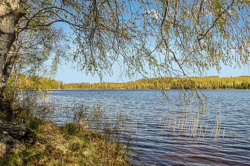 Kytöranta, rantalan lomamökit - foto 21