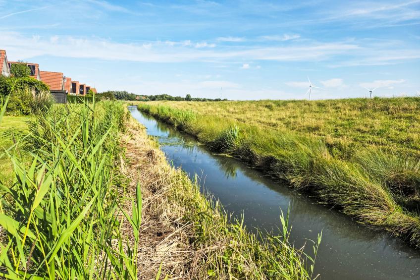 De Wieringerheid 164 - foto 28