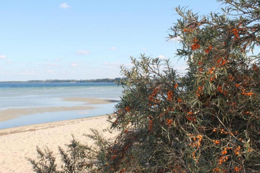 Platz im Grünen 2 - foto 33